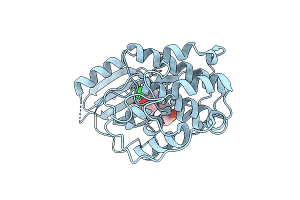 9D0U image