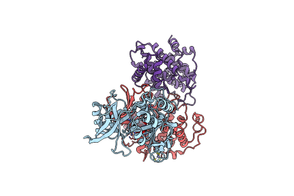 9D0X image