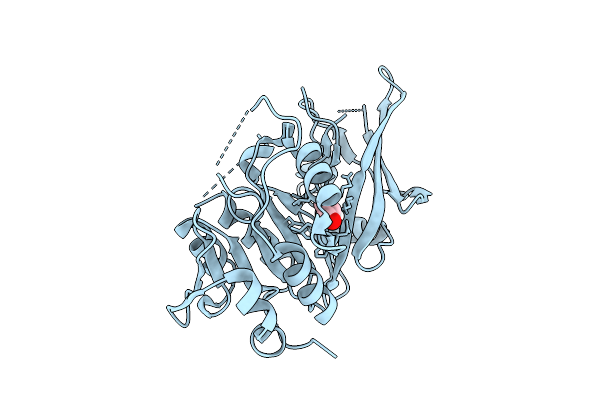 9D13 image