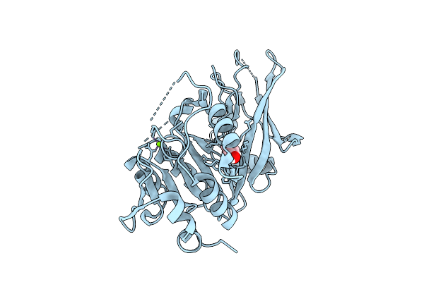 9D14 image