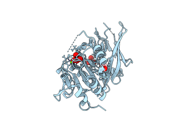 9D15 image