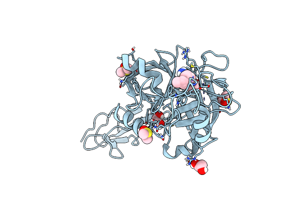 9D17 image