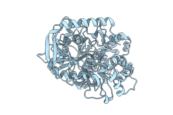 9D1J image