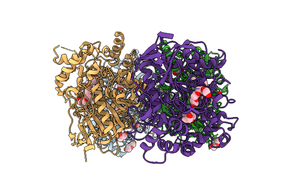 9D1K image