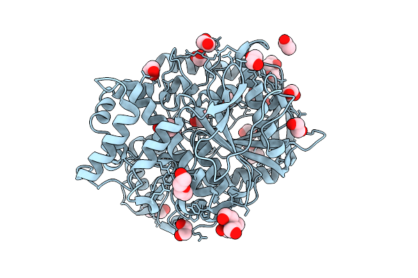 9D1L image