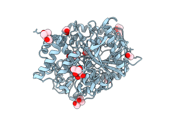 9D1M image