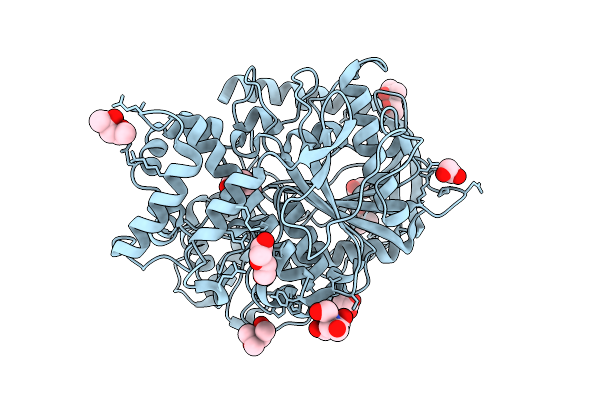 9D1N image