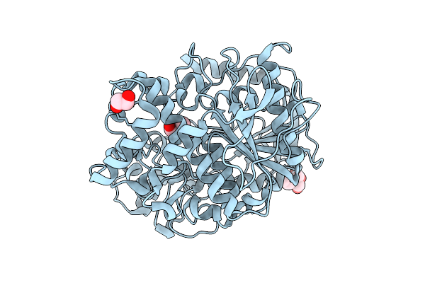 9D1O image