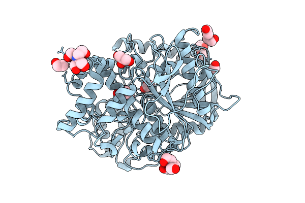 9D1P image