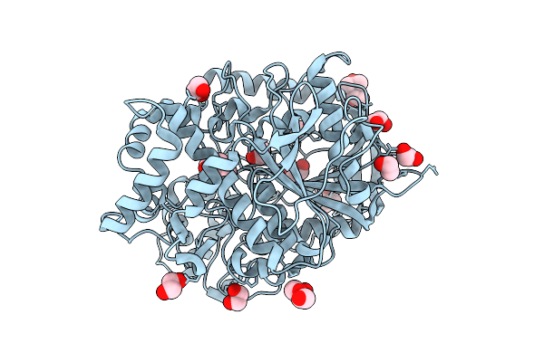 9D1R image