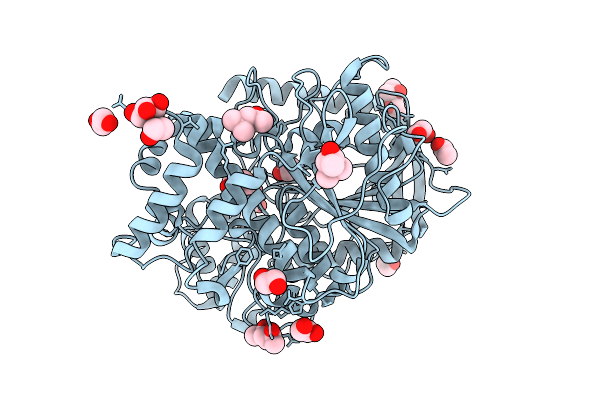 9D1S image