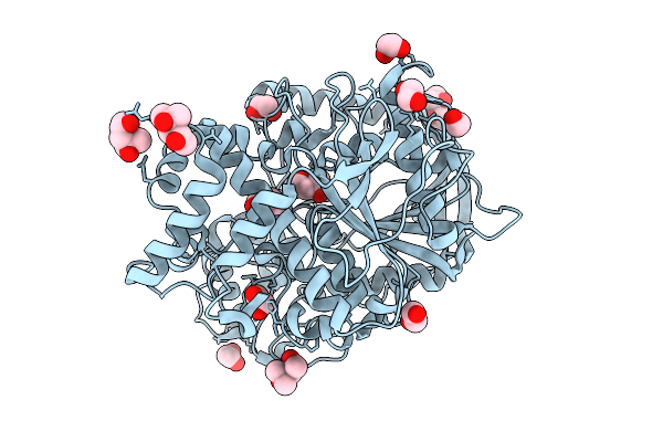 9D1T image
