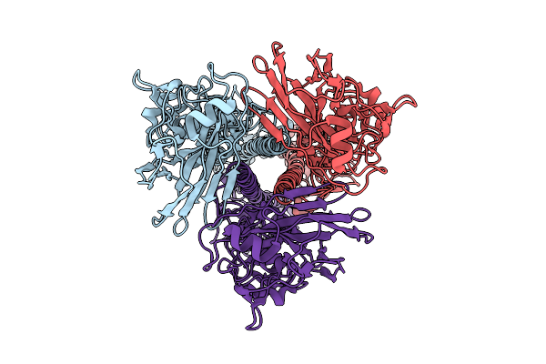 9D1U image