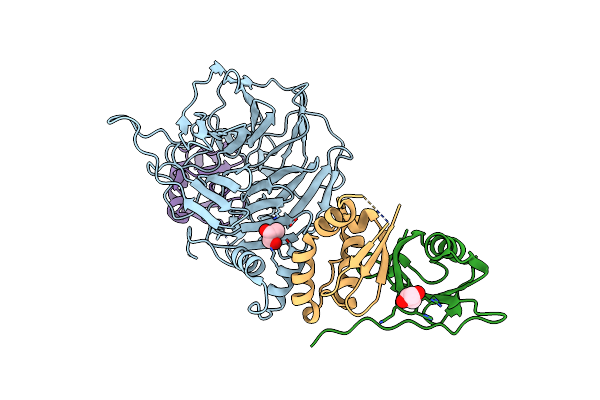 9D1Y image
