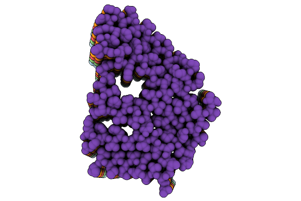 9D21 image