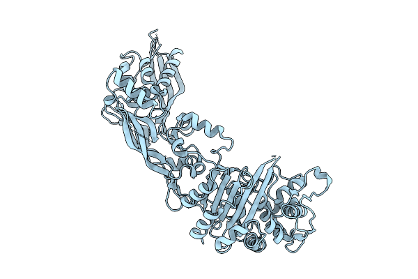 9D25 image