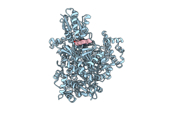 9D26 image