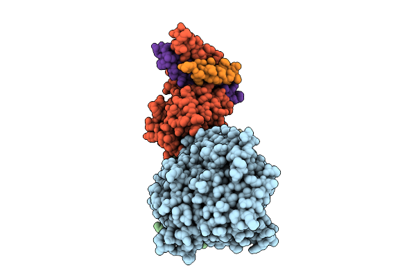 9D2B image