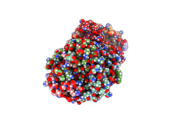 9D2C image