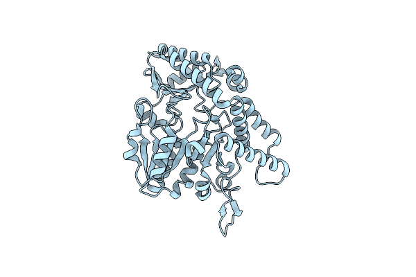 9D2D image