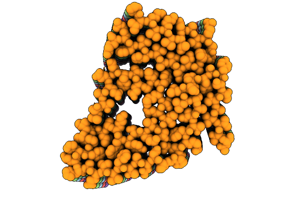 9D2G image