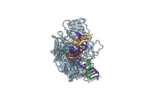9D2I image
