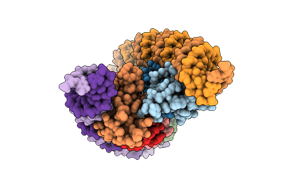 9D2J image