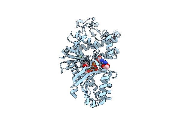 9D2O image
