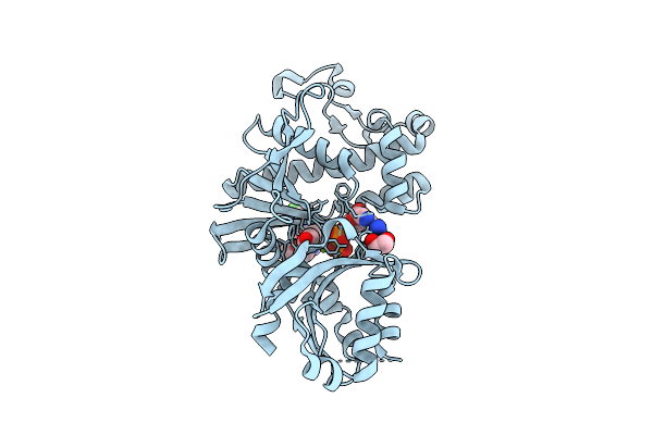9D2P image