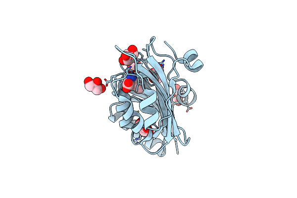 9D2R image