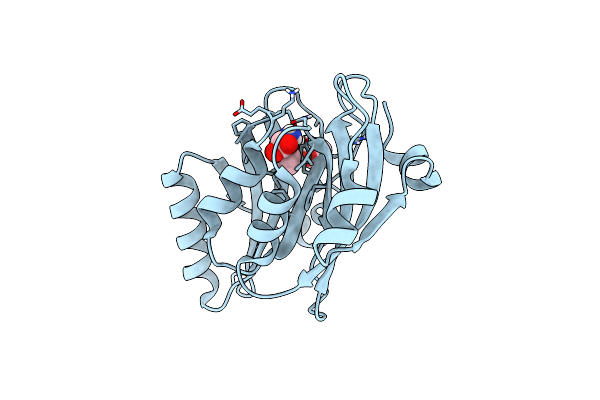 9D2S image