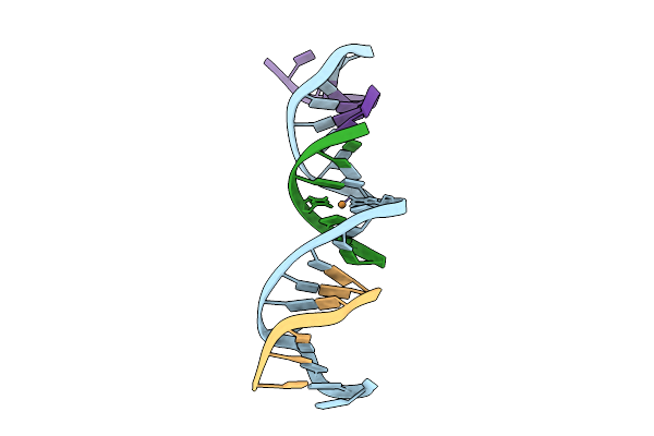 9D2W image