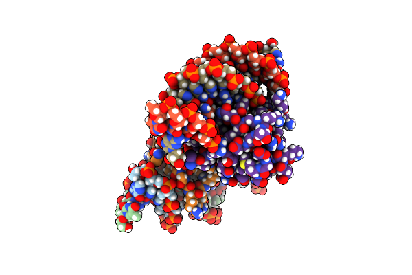 9D2X image