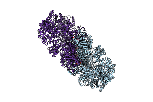 9D2Y image