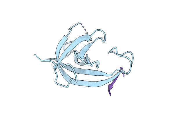9D34 image