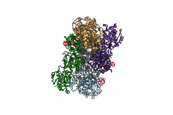 9D37 image
