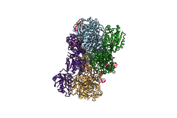 9D38 image