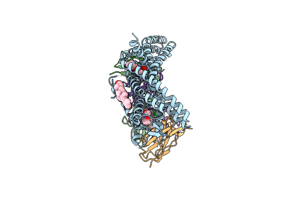 9D3G image
