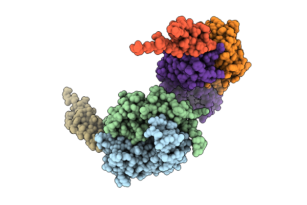 9D3J image