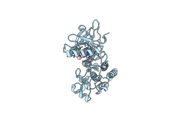 9D3V image