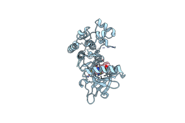 9D3W image