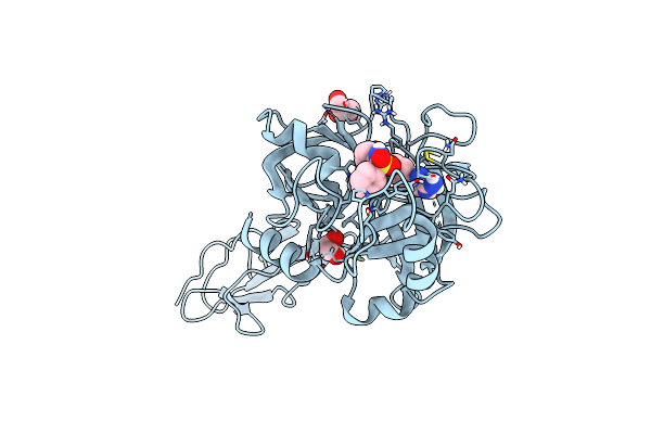 9D40 image