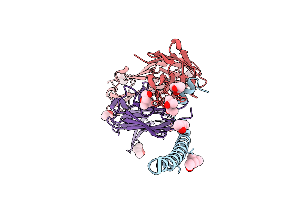 9D41 image
