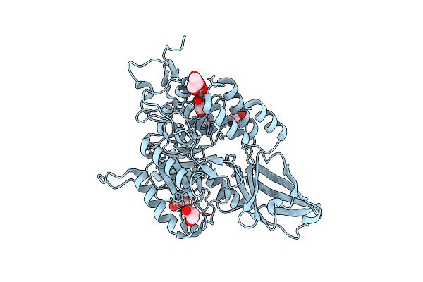 9D44 image
