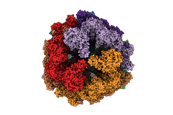 9D47 image