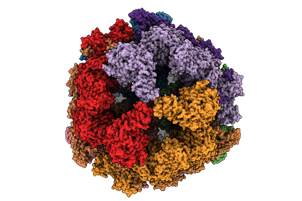 9D49 image