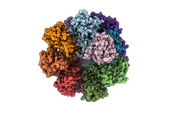 9D4C image