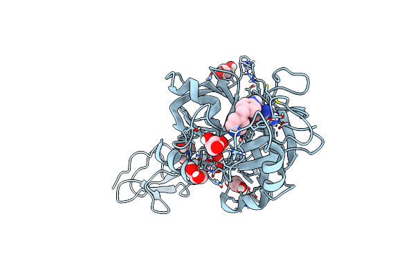 9D4D image