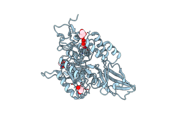 9D4I image