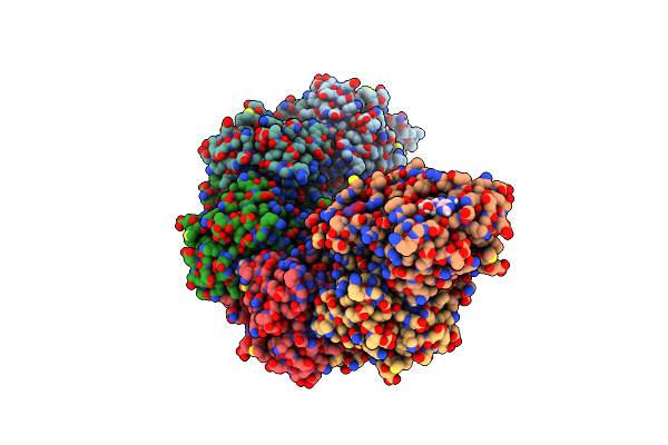 9D4N image